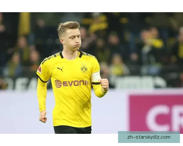 公牛后卫艾维左膝伤缺至少两周